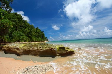 Neil ada plaj ve mavi gökyüzü ile beyaz bulutlar, andaman Adaları - Hindistan