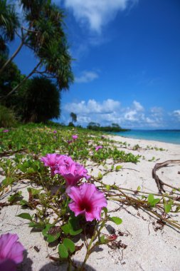 Havelock ada mavi gökyüzü ile beyaz bulutlar, andaman Adaları, Hindistan
