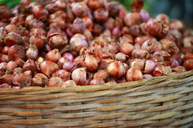 çeşitli sebze, sebze pazarı. Hindistan