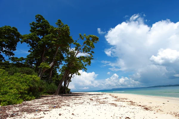 Havelock Island céu azul com nuvens brancas, Andaman Islands, Índia — Fotografia de Stock