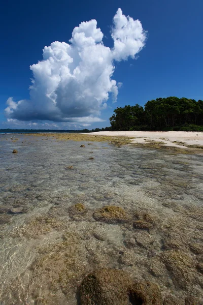 Eb en blauwe hemel en witte wolken op het koraal strand. Andamanen. — Stockfoto