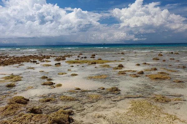 Low tide and blue sky and white clouds on the coral beach. Andaman islands. — Stock Photo, Image