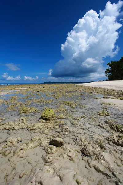 Maré baixa e céu azul e nuvens brancas na praia de coral. Ilhas Andamão . — Fotografia de Stock