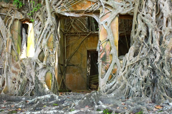 Rovina di edificio abbandonato coperto di radici sull'isola di Ross. Isole Andamane, India — Foto Stock