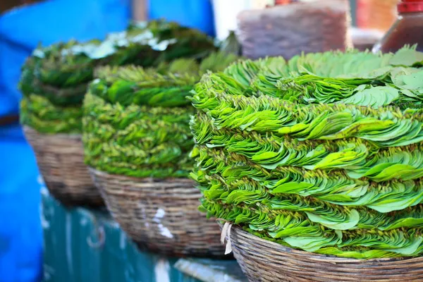 Feuilles vertes sur le marché local en Inde . — Photo