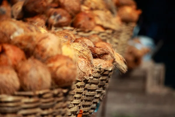 Tasty organic coconuts at local market in India — Stock Photo, Image