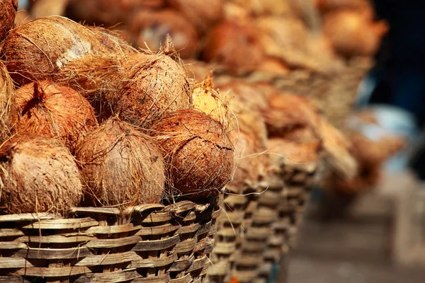 Вкусные органические кокосы на местном рынке в Индии — стоковое фото