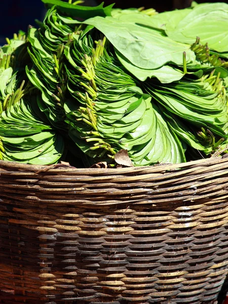 Gröna blad i lokala marknaden i Indien. — Stockfoto