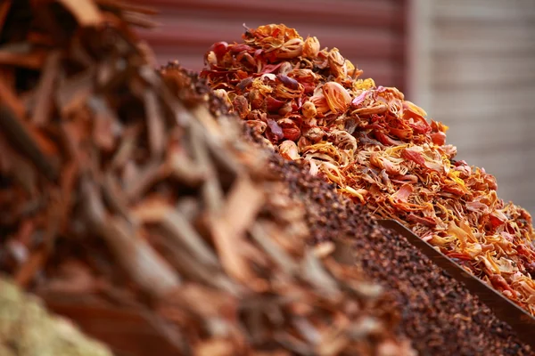 Traditionella kryddor och torkad frukt i lokala basaren i Indien. — Stockfoto