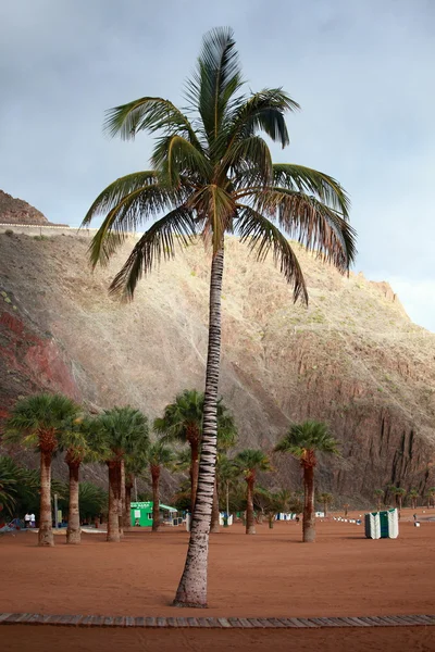 Playa de Las Teresitas, Canary Island Tenerife, Espanha — Fotografia de Stock