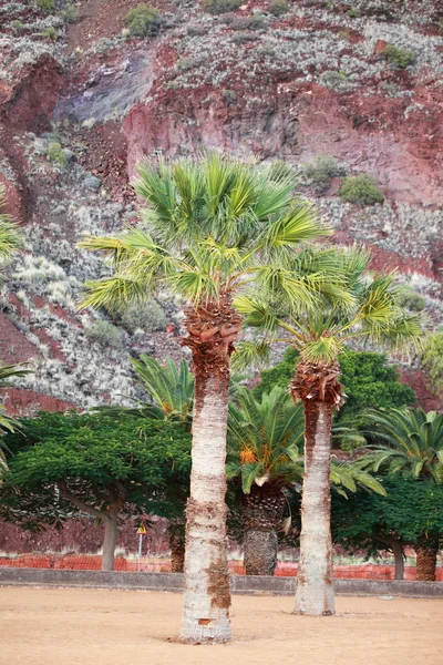 Playa de las teresitas, kanarische Insel Teneriffa, Spanien — Stockfoto