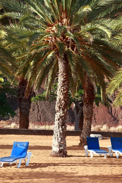 Playa de Las Teresitas, Canaries Tenerife, Espagne — Photo