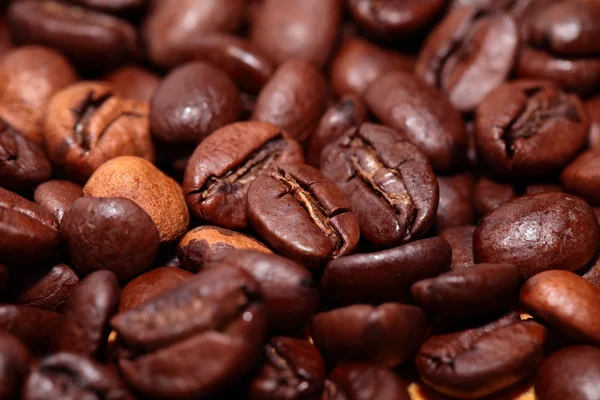 Primer plano de los granos de café fondo —  Fotos de Stock