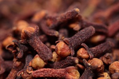 Makro baharat karanfil