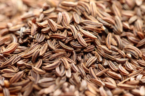 Cumin seeds texture, full frame background — Stock Photo, Image