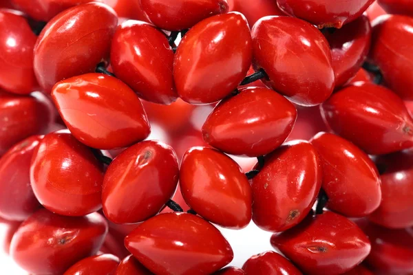 Strand with red beads over white background — Stock Photo, Image