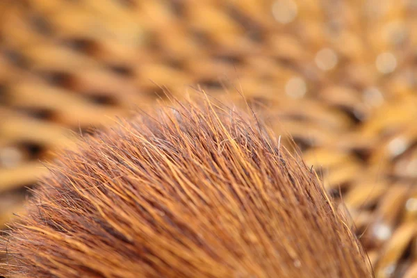 Macro de maquillaje cepillo — Foto de Stock