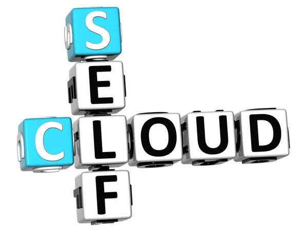 3D Self Cloud Crossword — Stock Photo, Image