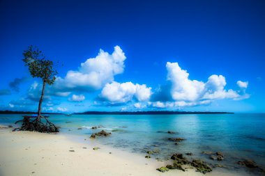 Mavi gökyüzü ve bulutlar havelock Adası. Andaman Adaları, Hindistan