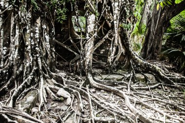 Angkor wat dikiş içinde karmaşık biçmek