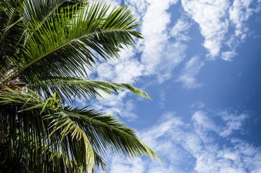Mavi gökyüzü ve bulutlar havelock Adası. Andaman Adaları, Hindistan