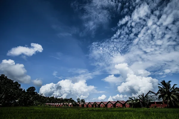Голубое небо и облака на острове Хэвелок. Андаманские острова, Индия — стоковое фото