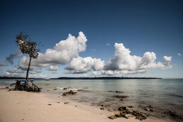 Ciel bleu et nuages sur l'île Havelock. Îles Andaman, Inde — Photo