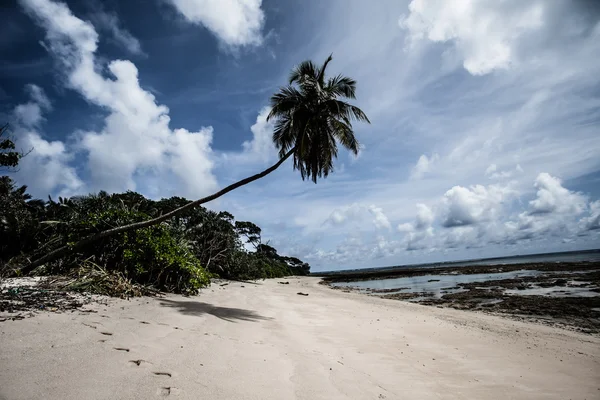 Cielo azul y nubes en la isla Havelock. Islas Andamán, India — Foto de Stock