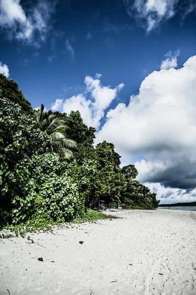 Blå himmel og skyer på øen Havelock. Andaman øer, Indien - Stock-foto