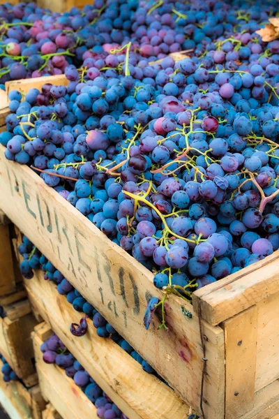 Raisins sur un tonneau en bois — Photo