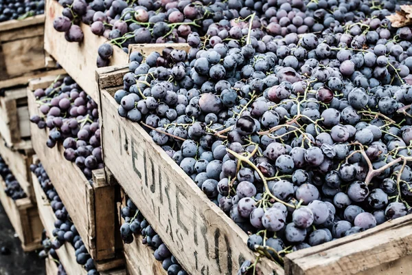 Druiven op een houten vat — Stockfoto