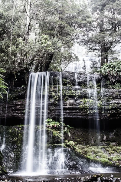 Russell Falls, Tasmania — Stock Photo, Image
