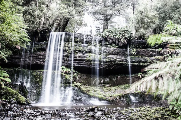 Russell Falls, Tasmânia — Fotografia de Stock