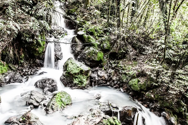 Russell falls, Tasmanien — Stockfoto