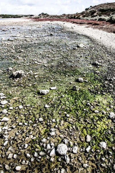 Festői kilátás nyílik az egyik a strandok Rottnest island — Stock Fotó