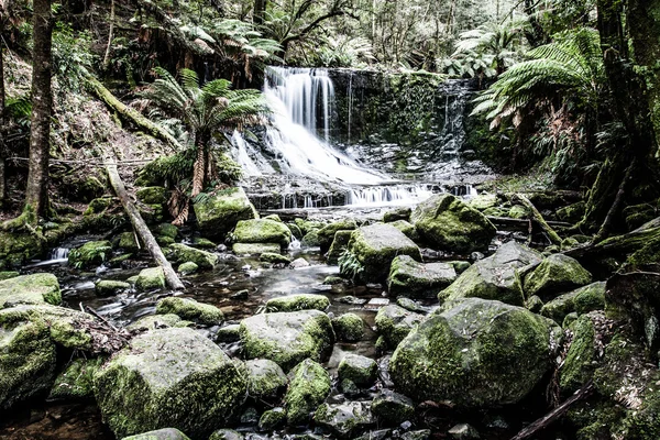 Russell falls, Tasmanien — Stockfoto