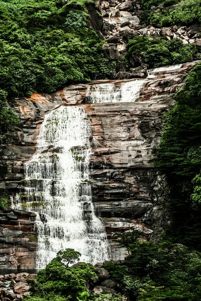 Angel Falls ( Salto Angel ) is worlds highest waterfalls (978 m), Venezuela — Stock Photo, Image