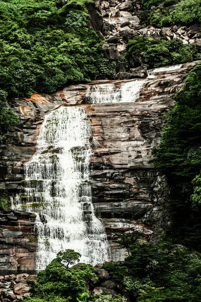 天使の滝 (salto の天使) は世界最高の滝 (978 メートル), ベネズエラです。 — ストック写真