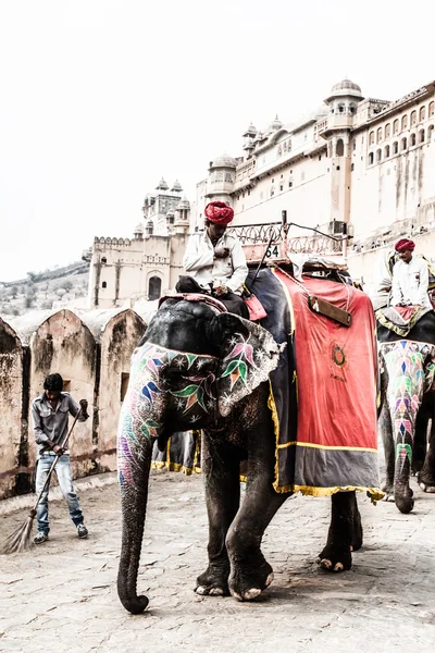 Indie, Radżastan, jaipur, amber fort, Słoń kierowcy — Zdjęcie stockowe