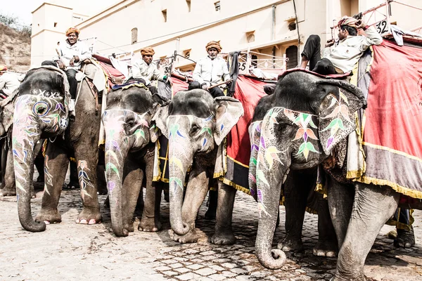 Indien, rajasthan, jaipur, amber fort, elefant förare — Stockfoto