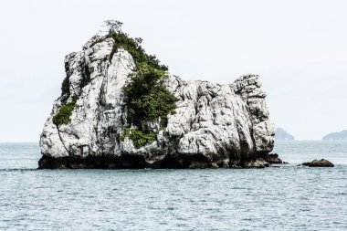 tropikal peyzaj. Phi phi Island, Tayland.