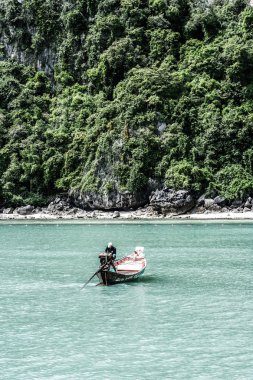 tropikal peyzaj. Phi phi Island, Tayland.