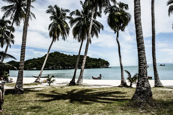 Paisaje tropical. Isla Phi-phi, Tailandia . — Foto de Stock