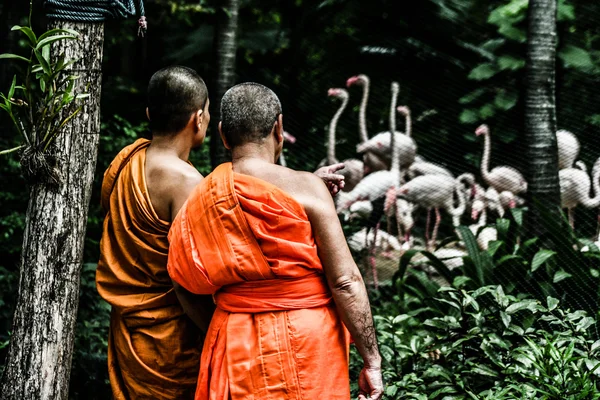 Um monge budista em Bangkok, Tailândia . — Fotografia de Stock