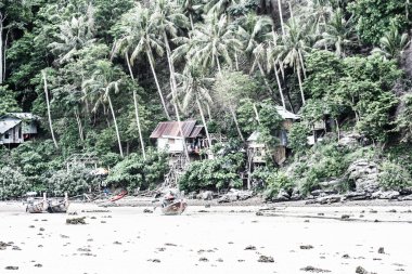 tropikal peyzaj. Phi phi Island, Tayland.