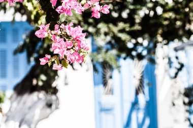 mykonos town, Yunanistan tipik dar bir sokakta