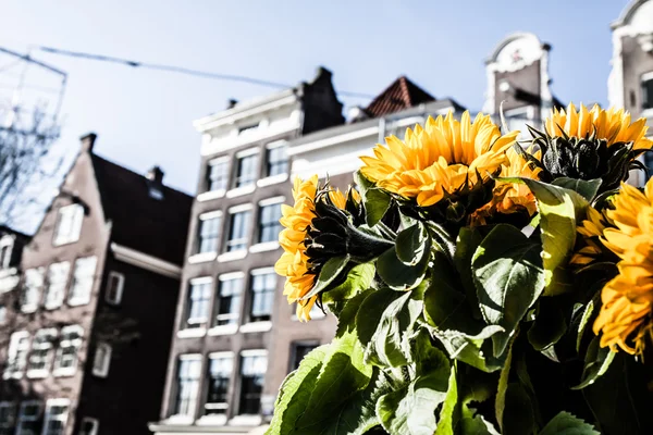 Typical Amsterdam architecture with bikes — Stock Photo, Image