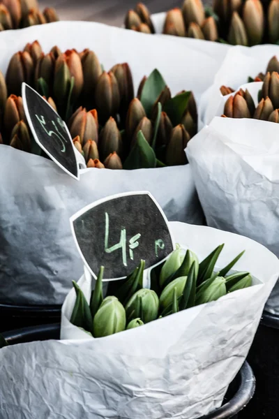 Tulipan Flores en Amsterdam mercado local — Foto de Stock