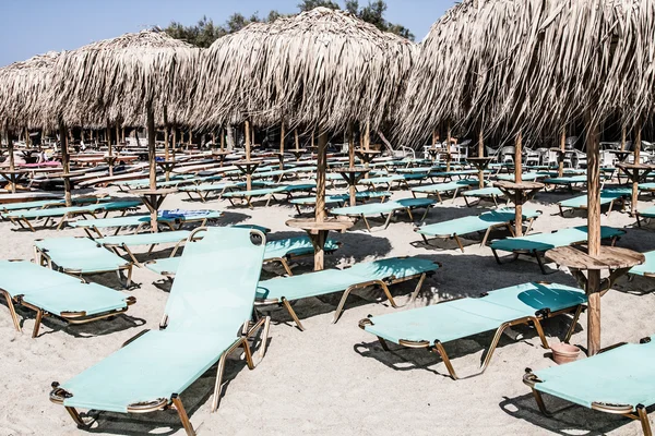 Ligstoelen onder palmboom verlaat parasols op het strand — Stockfoto