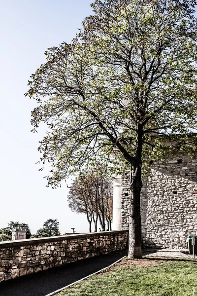 Antigua calle europea, Bérgamo, Italia — Foto de Stock